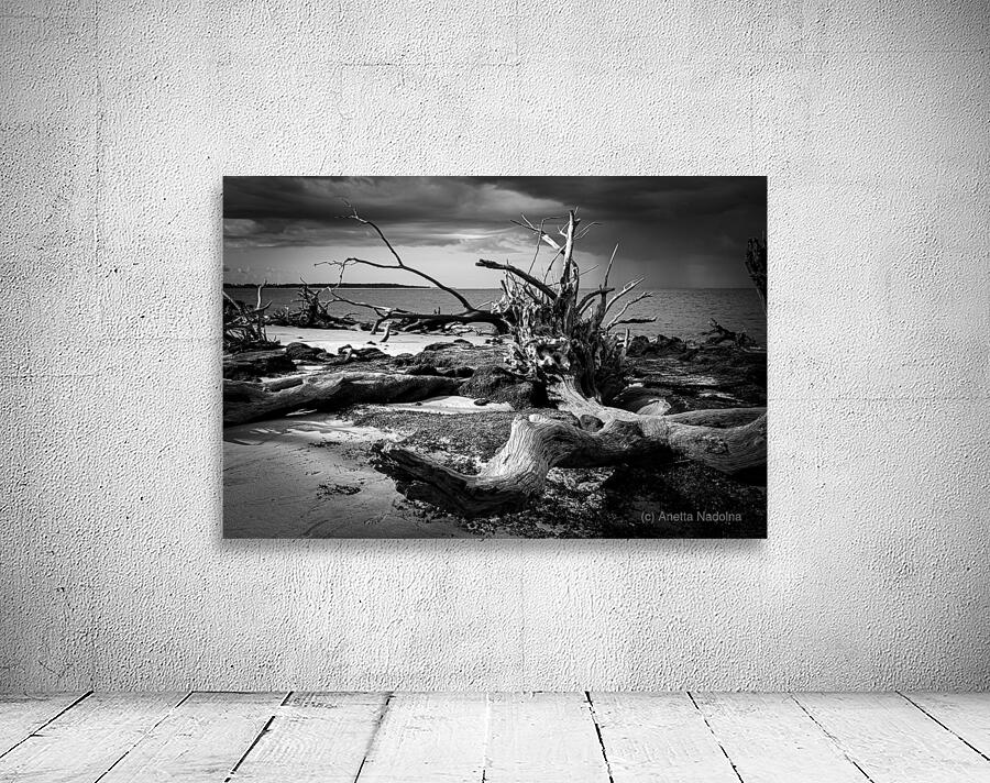 Tempest Trace Wall Preview