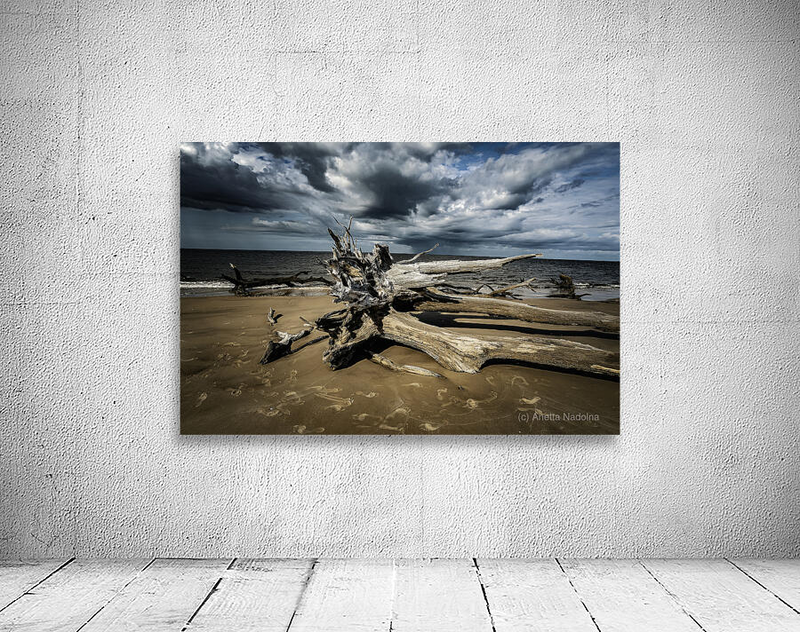 Legacy of The Tides Wall Preview