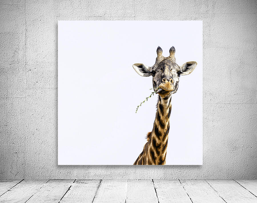 Sky High Banquet Wall Preview