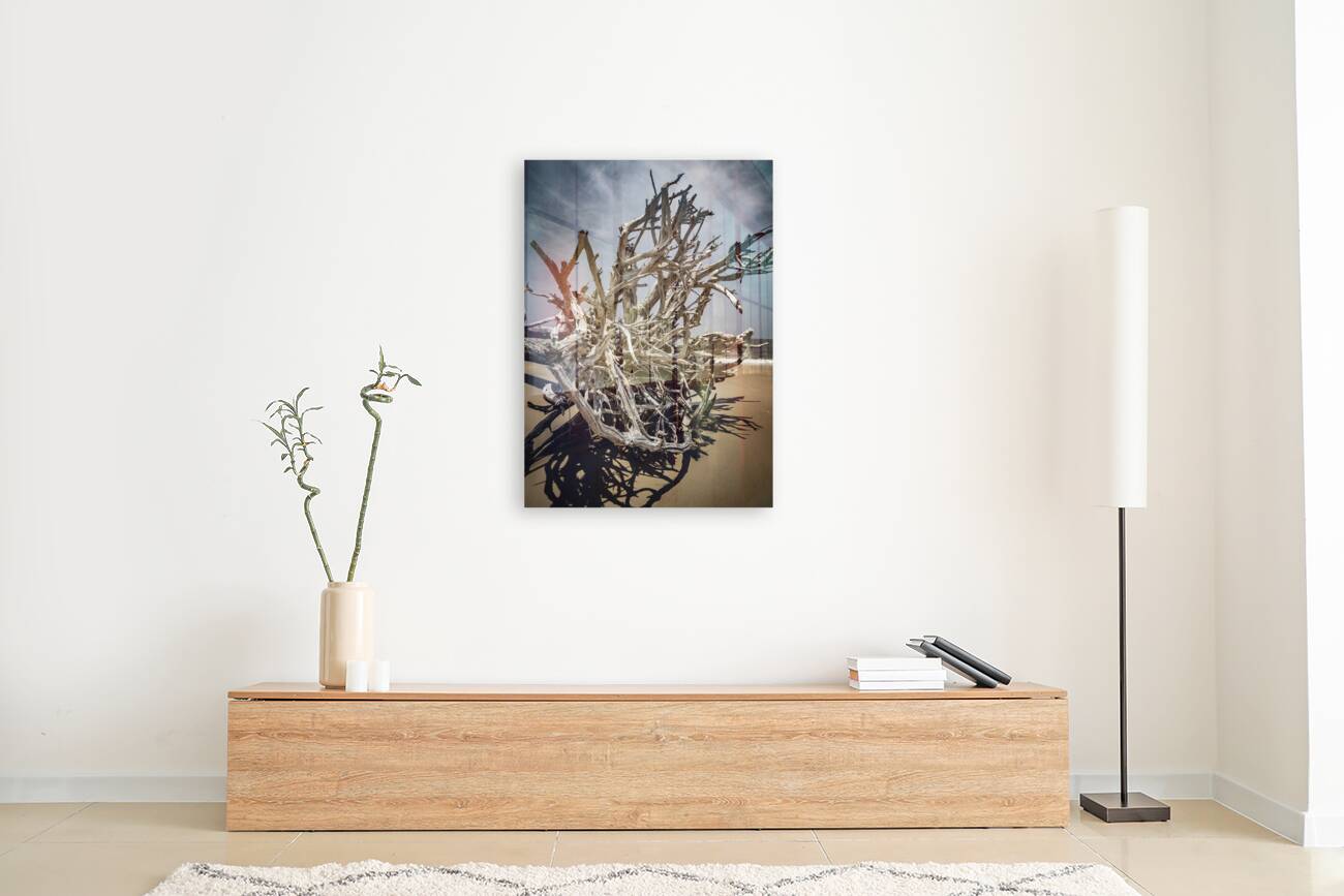 Tangled Drift Reproduction