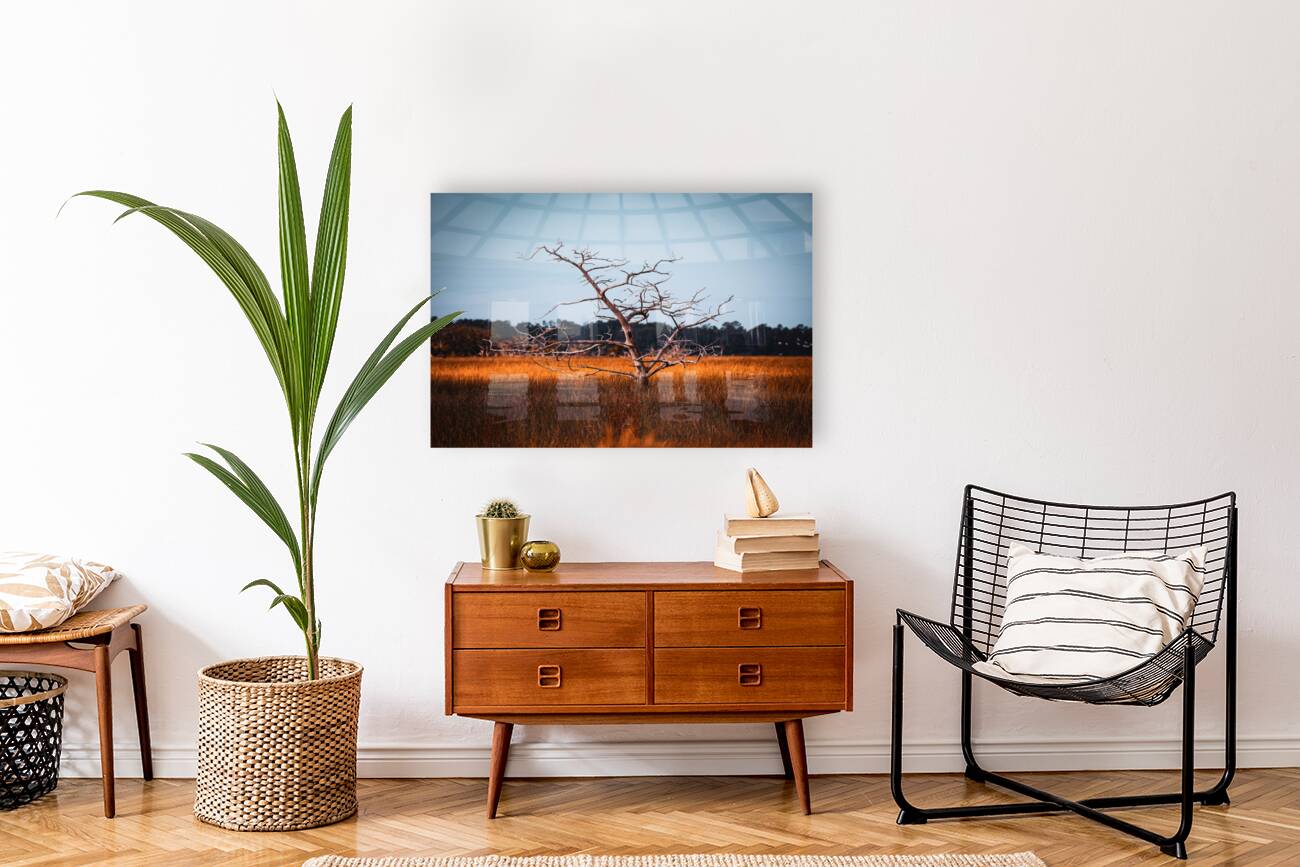 Silent Solitude Reproduction